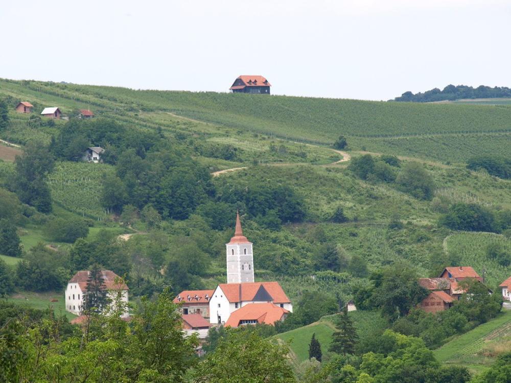 Farm stay Bolfan Vinski Vrh *