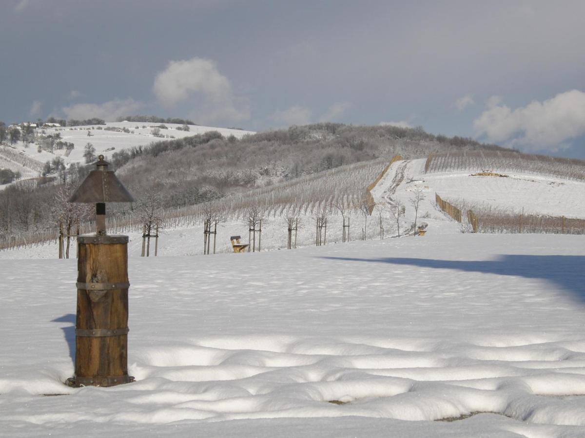 Farm stay Bolfan Vinski Vrh
