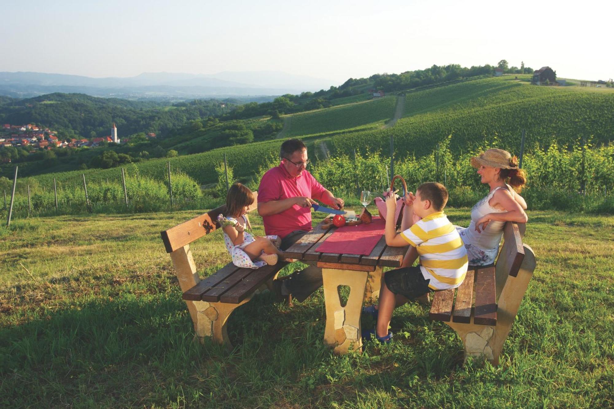 Bolfan Vinski Vrh Farm stay *