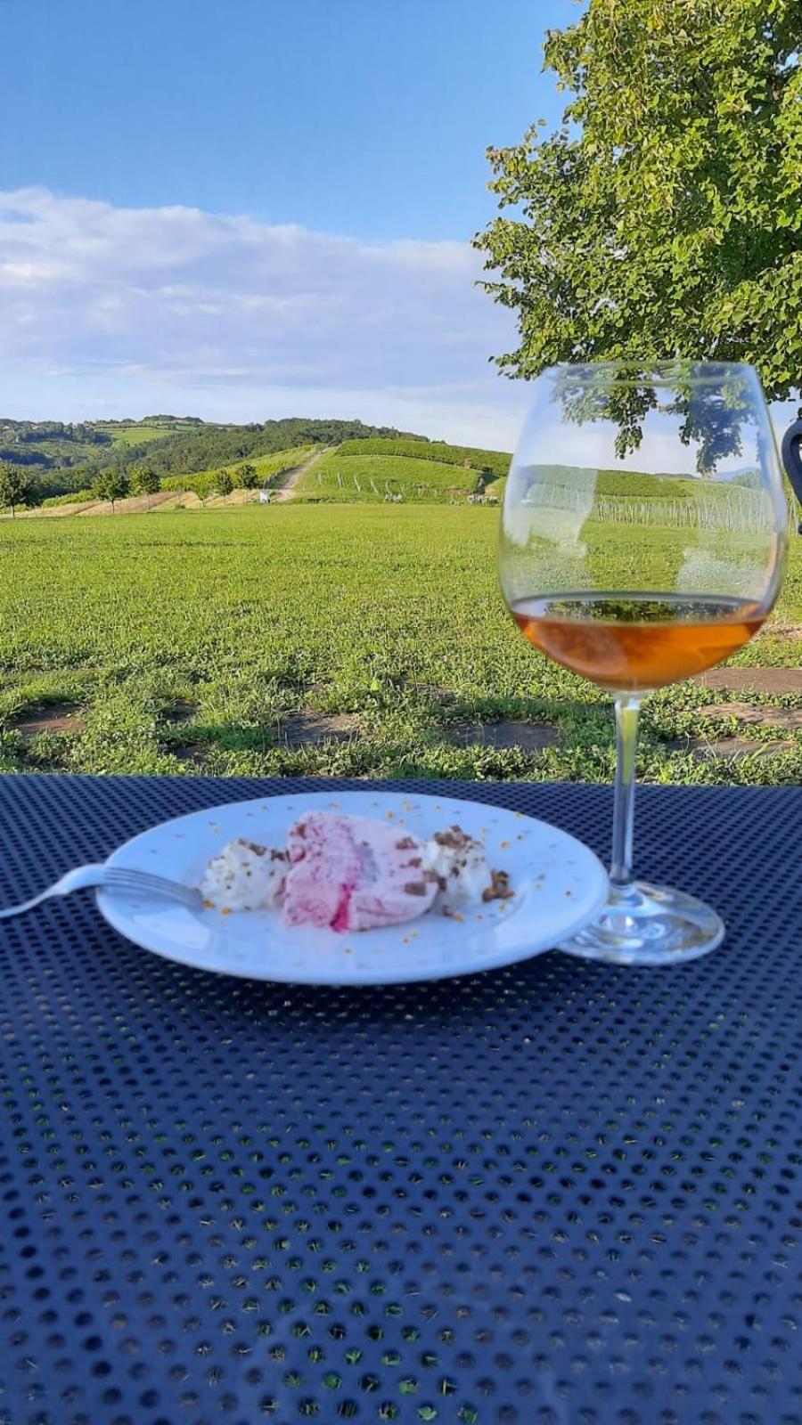 Bolfan Vinski Vrh Farm stay Hrascina