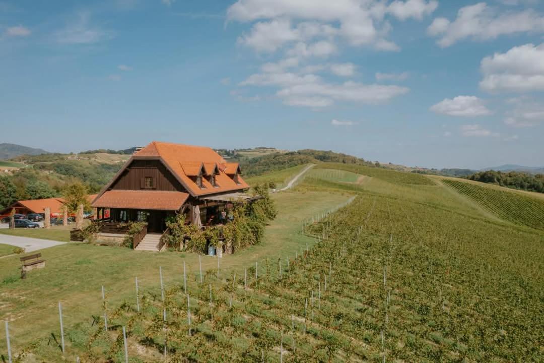 Farm stay Bolfan Vinski Vrh
