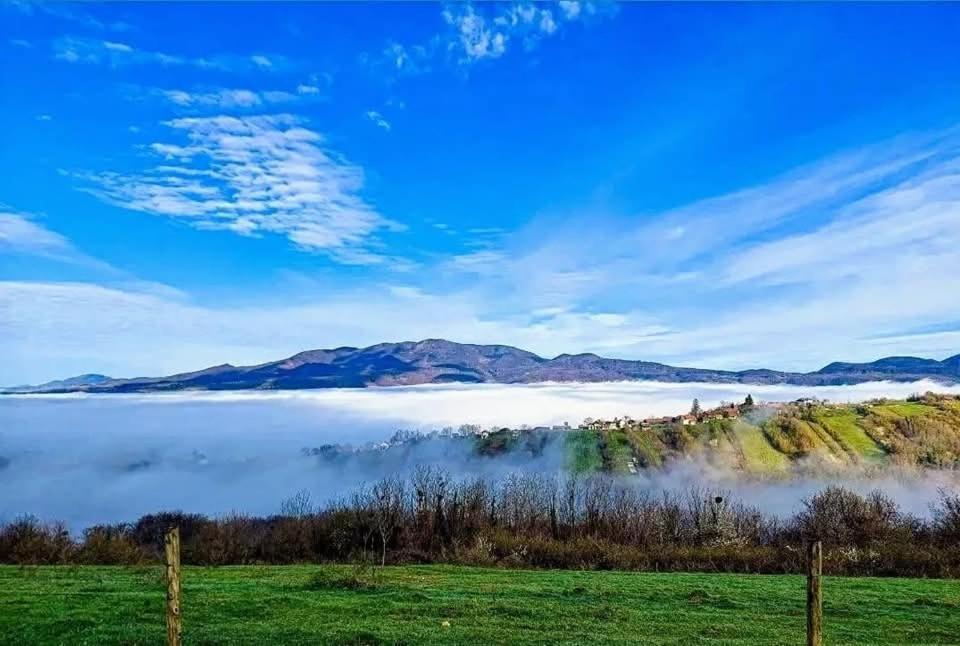 Farm stay Bolfan Vinski Vrh