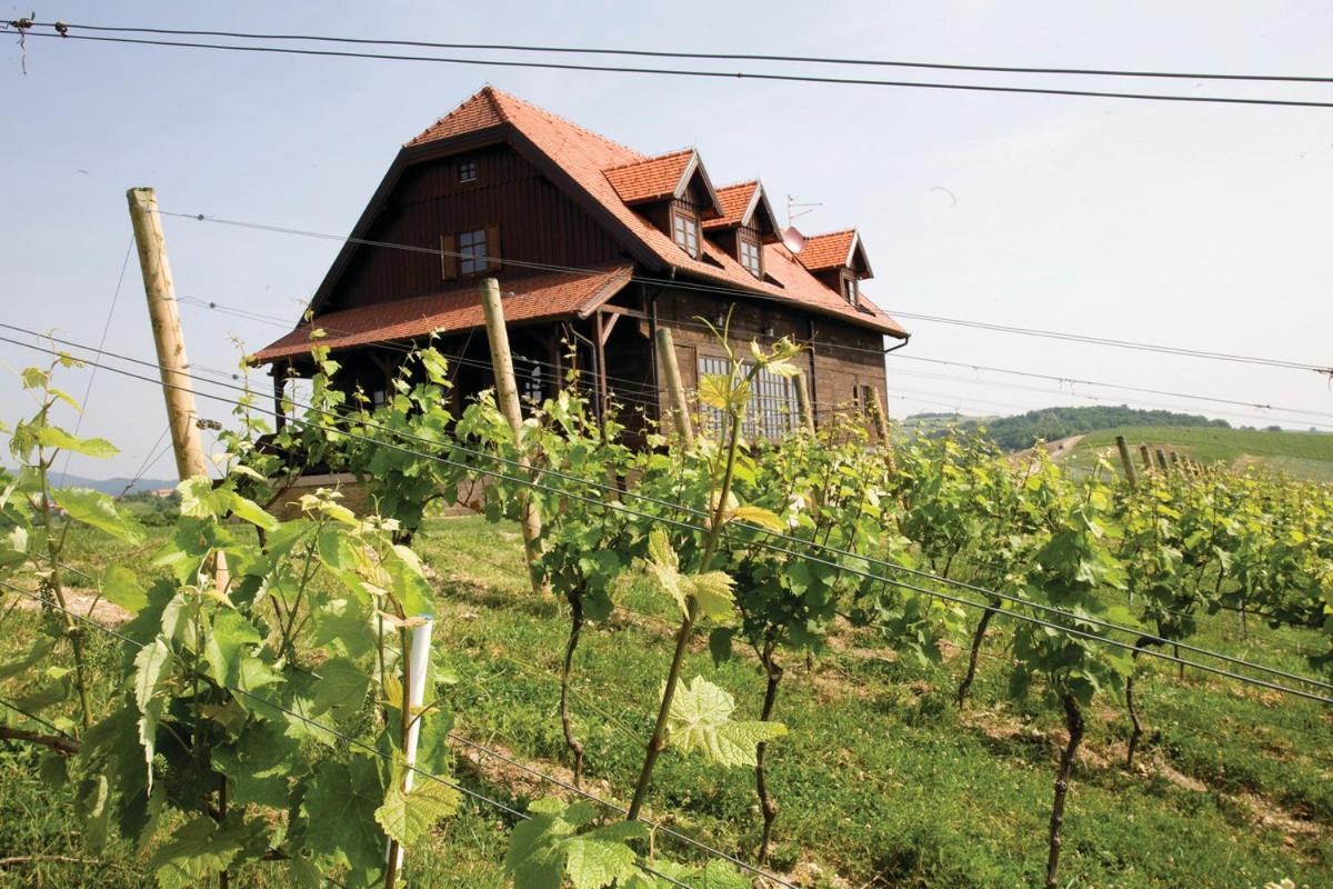 Bolfan Vinski Vrh Farm stay *
