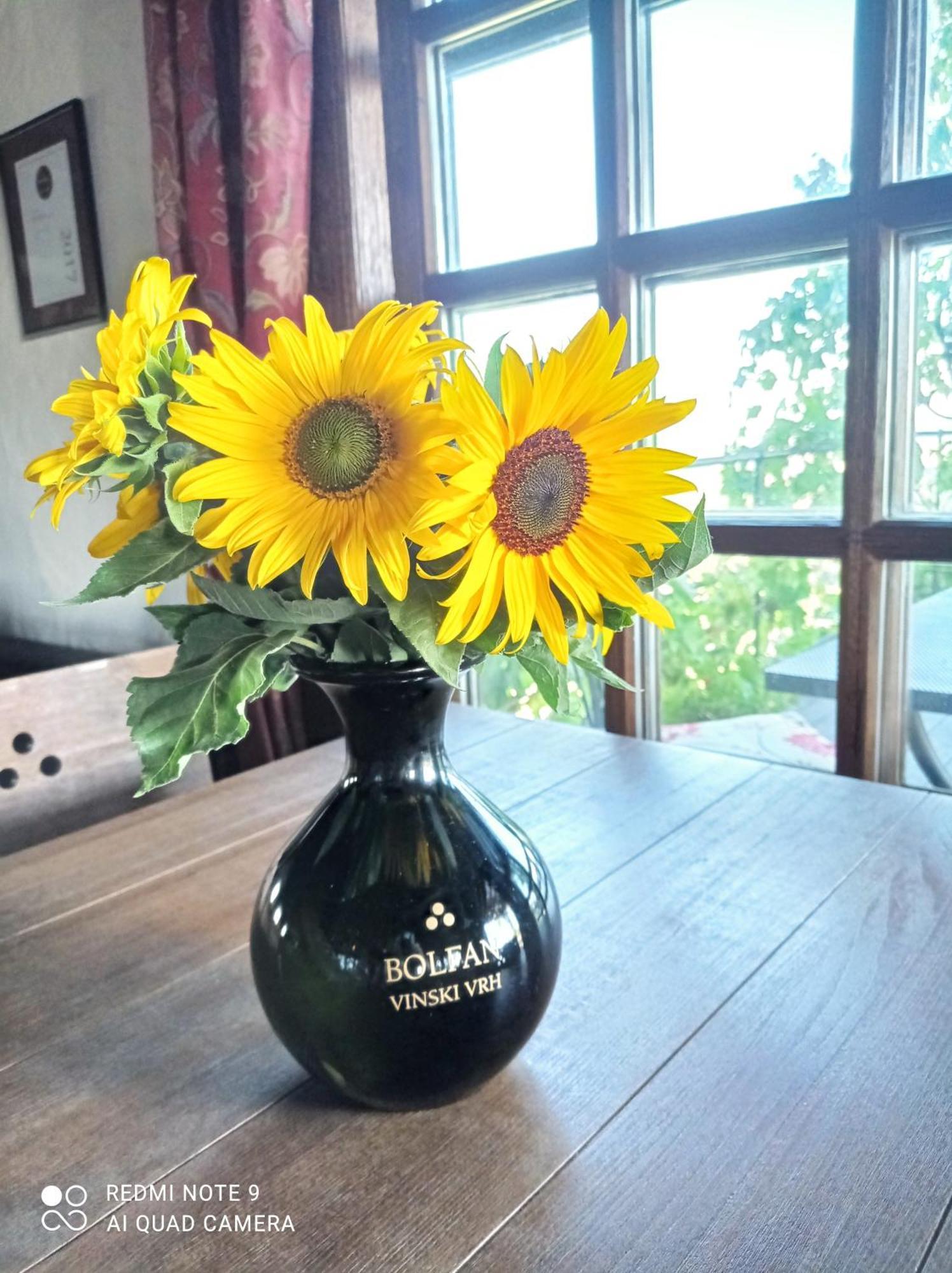Bolfan Vinski Vrh Farm stay