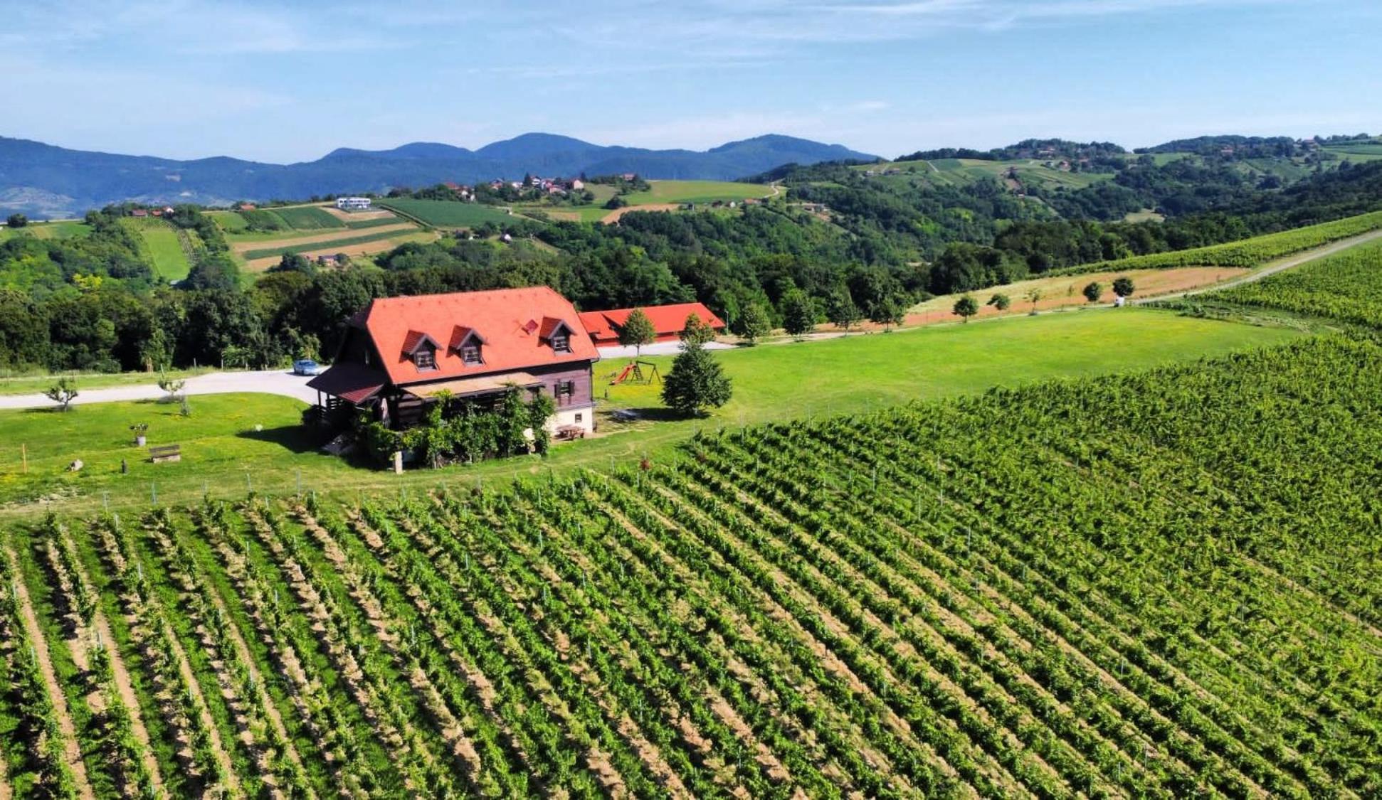 Farm stay Bolfan Vinski Vrh *