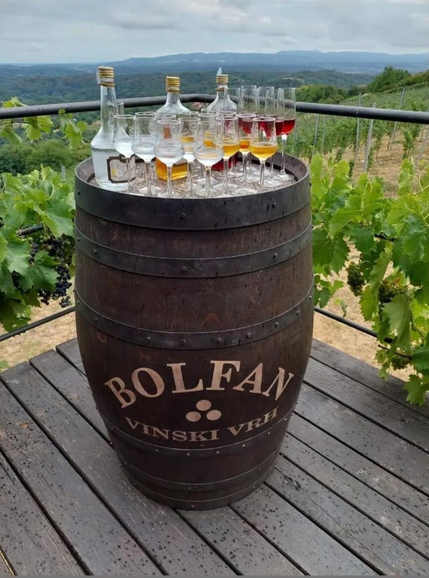 Farm stay Bolfan Vinski Vrh *