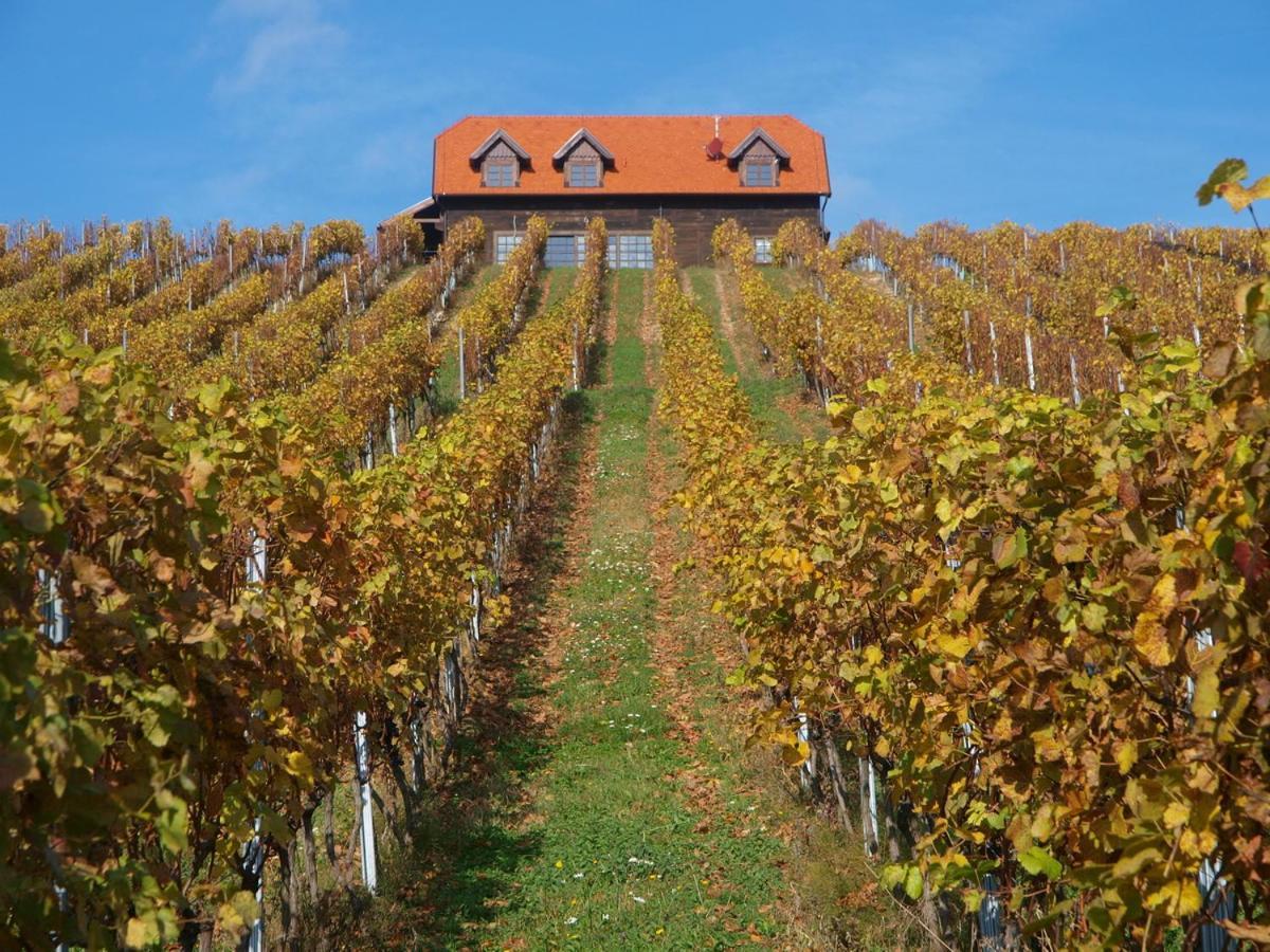 Bolfan Vinski Vrh Farm stay *